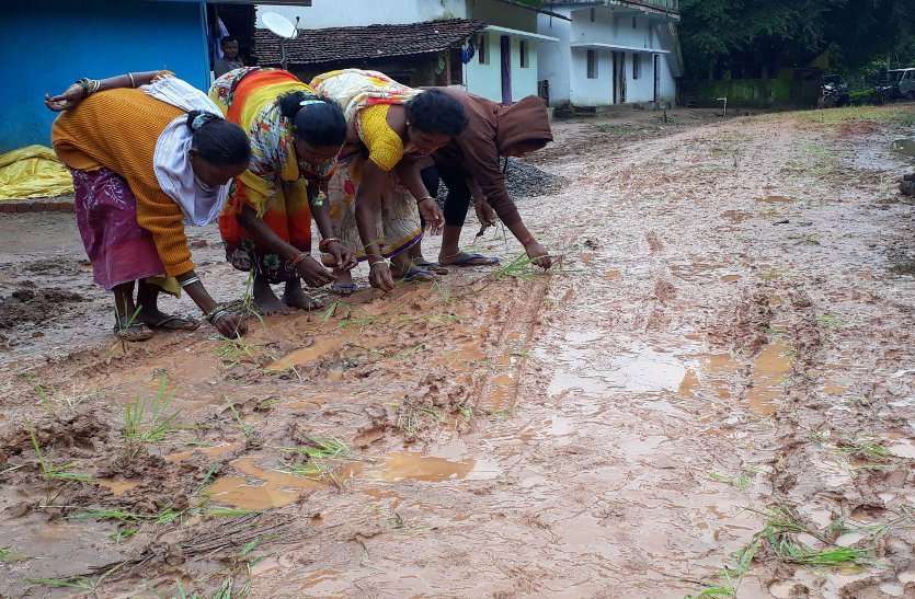 Crop Production जहां से सरपंच रोज करते हैं आवागमन, ग्रामीण उसी रास्ते पर कर रहे रोपाई, कारण जान चौंक जाएगें आप