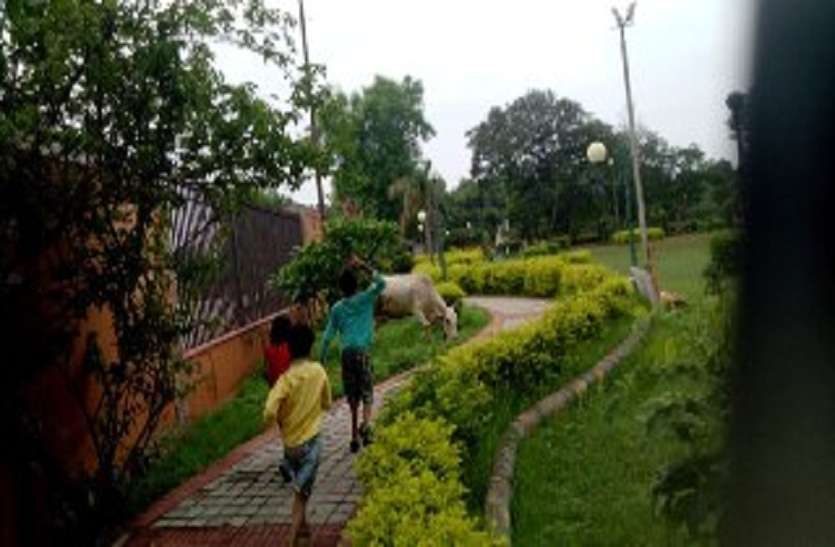 Children's Shramdan in PM Modi's Swachh Bharat Mission पीएम मोदी के स्वच्छ भारत मिशन में नन्हे बच्चों का कमाल, जिम्मेदार भी रह गए अचंभित
