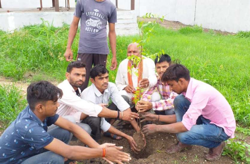 news पर्यावरण बचाना तो हर एक को पौधा लगाकर उसकी देखरेख करना होगी