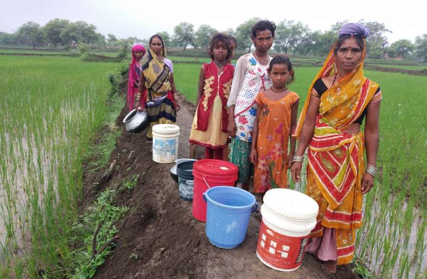 Bring water to drink from farm pump एक किमी दूर मेड़ पार कर खेत की पंप से लाते हैं पीने के लिए पानी
