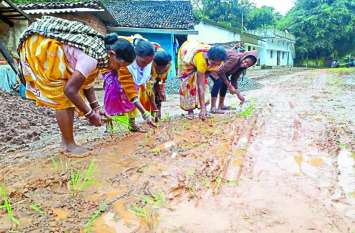 Woman farming on road,Chattisgarh Goverment,District,Headquater इस गांव में महिलाएं हो गई इतनी प्रताड़ित कि प्रशासन की आँख खोलने कर रहे ऐसा काम