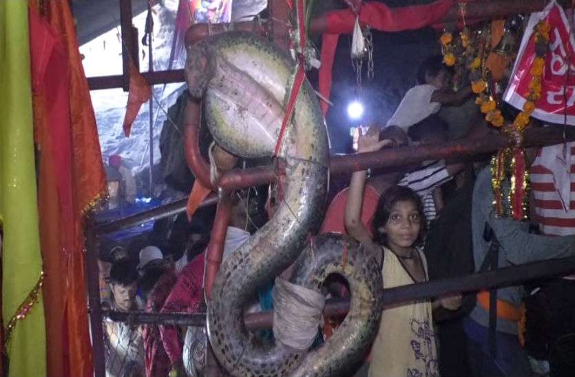 nagdwari yatra