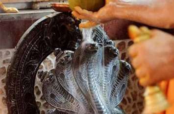 Nag Panchami 2019: Dont do these things during nag puja नाग पंचमी के दिन भूलकर भी न करें ये काम, वरना उठाना पड़ सकता है भारी नुकसान