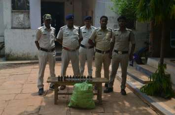 Two smugglers arrested with half a dozen snakes in Panna पन्ना में आधा दर्जन सांपों के साथ दो तस्कर गिरफ्तार, वन्य जीवों के अंग बरामद
