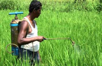Possibility of outbreak of wheat in crops फसलों में माहू के प्रकोप की संभावना