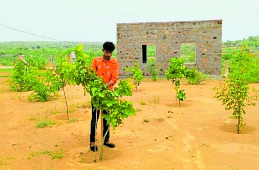 Watering with sweat for a year, now greenery blooming एक साल पसीने से सींचा, अब खिल रही हरियाली