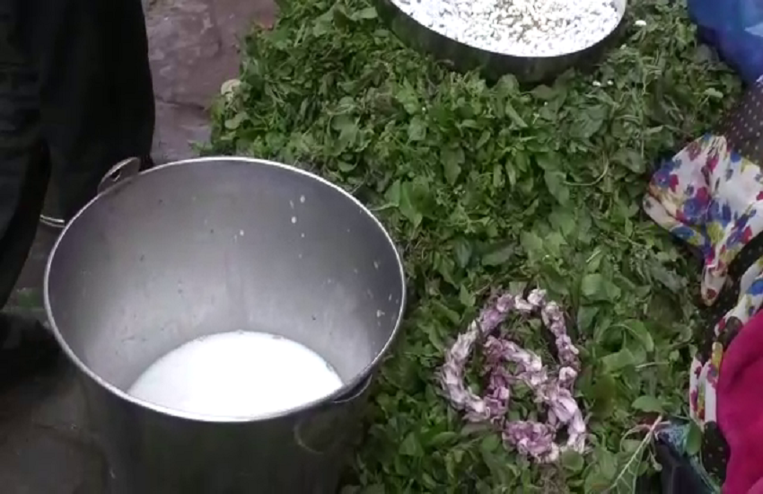 नाग देवता को अर्पित करने को तैयार दूूध लावा बिल्वपत्र और तुलसी की माला