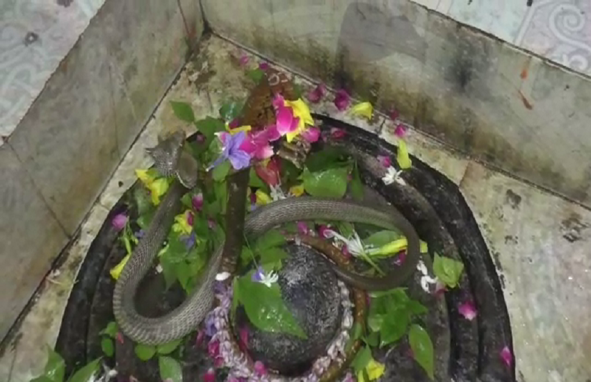 नागेश्वर महादेव के प्रत्यक्ष दर्शन