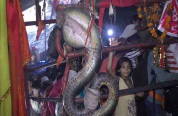 nagdwari yatra : the must difficult journey of india यहां है पृथ्वी का नागलोक, अमरनाथ से भी कठीन है नागद्वारी यात्रा