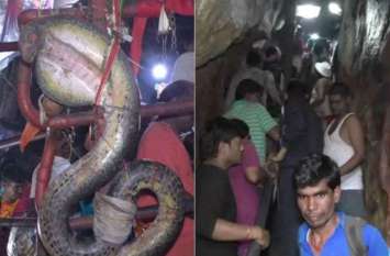 nagdwari yatra: untold story of naglok nagdwari yatra : नागपंचमी पर जानिए नागलोक की रहस्यमयी बातें