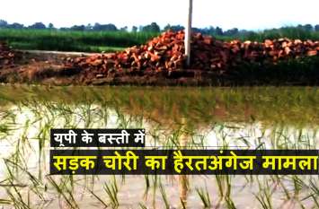 Road Theft in Uttar Pradesh Basti District यूपी में सामने आया हैरतअंगेज मामला, रातों रात सड़क ही चोरी हो गयी, लहलहाने लगी धान की फसल