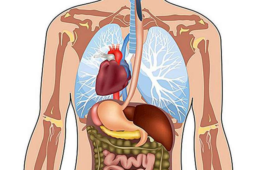 Situs inversus उल्टे-पुल्टे अंगों वाले बुजुर्ग के शव पर शोध होगा