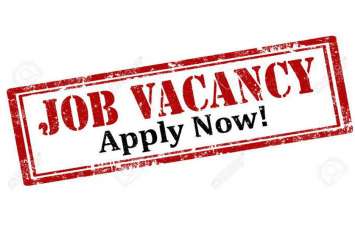Job recruitment: Bank PO Management trainee Vacancy in 4336 post बेरोजगारों के लिए खुशखबरी, 4336 पदों पर निकली बंफर भर्ती, ऐसे करें आवेदन