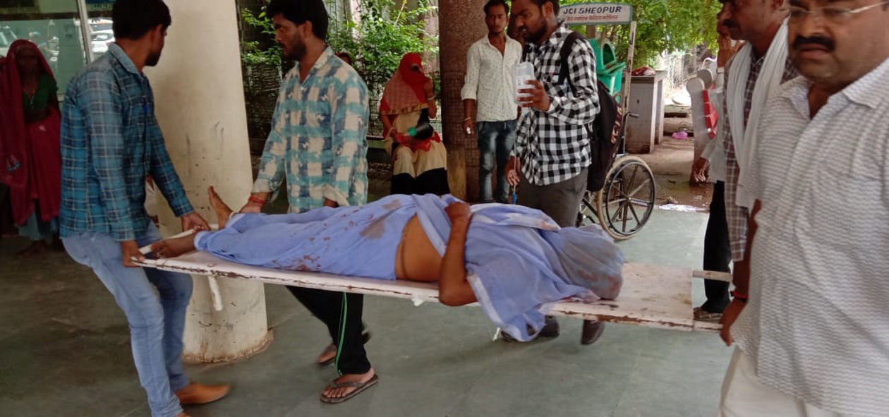 Sheopur News, Sheopur Hindi News, Mp News, Sheopur, Accident, Injured, Police, Action पेड़ से टकराई जीप, एनआरएलएम के ब्लॉक कार्डिनेटर सहित छह घायल