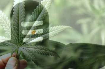 Bel patra ka podha: katha and importance of 4 leaves in bel patra Bel patra ka podha: माता पार्वती के पसीने से हुआ है बेलपत्र का उद्भव, जानें इससे जुड़ी कथा