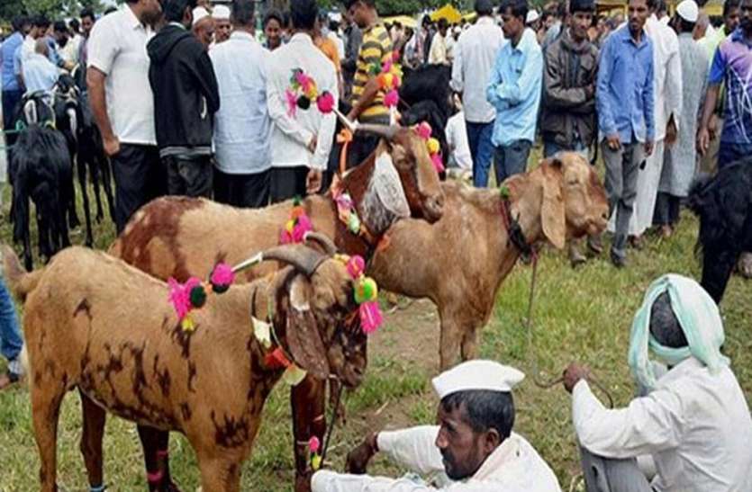 bakrid जानिये कब है बकरीद, इस दिन बकरे की कुर्बानी देने के पीछे यह है कारण