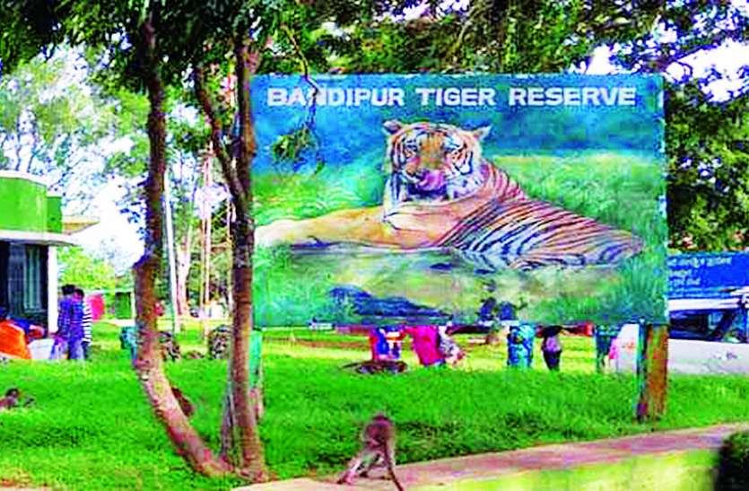 Bandipur Tiger Reserve बंडीपुर टाइगर रिजर्व में प्रतिबंधित रहेगा रात्रिकालीन यातायात
