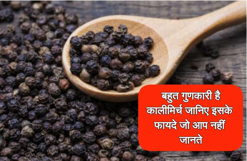 health tips of black pepper ब्लड प्रेशर के लिए रामबाण दवा है कालीमिर्च, जानिए इसके फायदे जो आप नहीं जानते