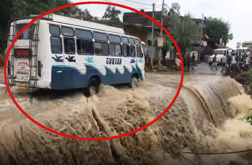 bus
