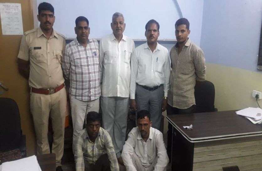 chittorgarh 13 टन गीली खेर की लकड़ी पकड़ी, दो जने गिरफ्तार