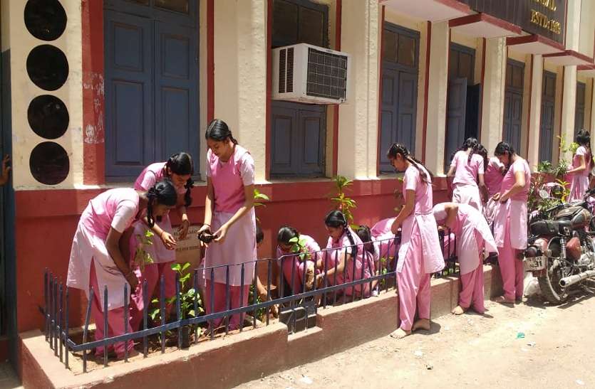 news,Chennai,Tamilnadu,Environment,Special,Breaking,tamilnadu news,Chennai news in hindi, स्वस्थ जीवन के लिए पौधारोपण जरूरी - हरित प्रदेश का आयोजन