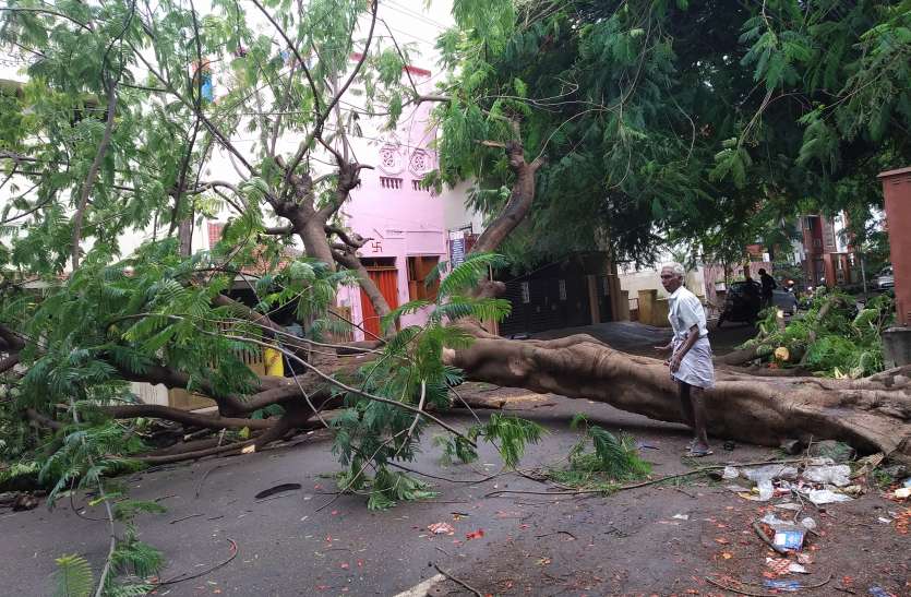 landslide and falling of trees भूस्खलन और पेड़ गिरने से यातायात बाधित