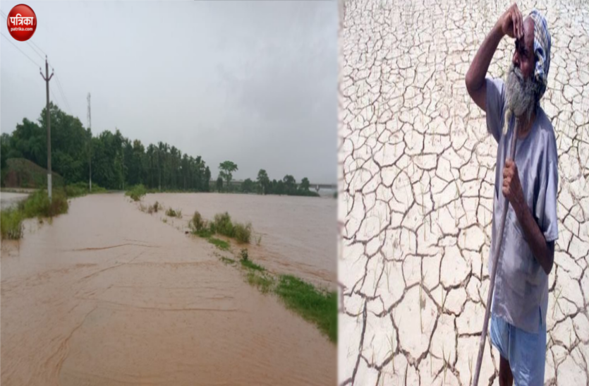 Odisha Weather Report ओडिशा के तटीय जिलों में बाढ़, पश्चिमी क्षेत्र में सूखे के आसार, किसानों पर यूं पड़ रही दोहरी मार