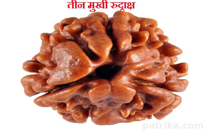 Rudraksha