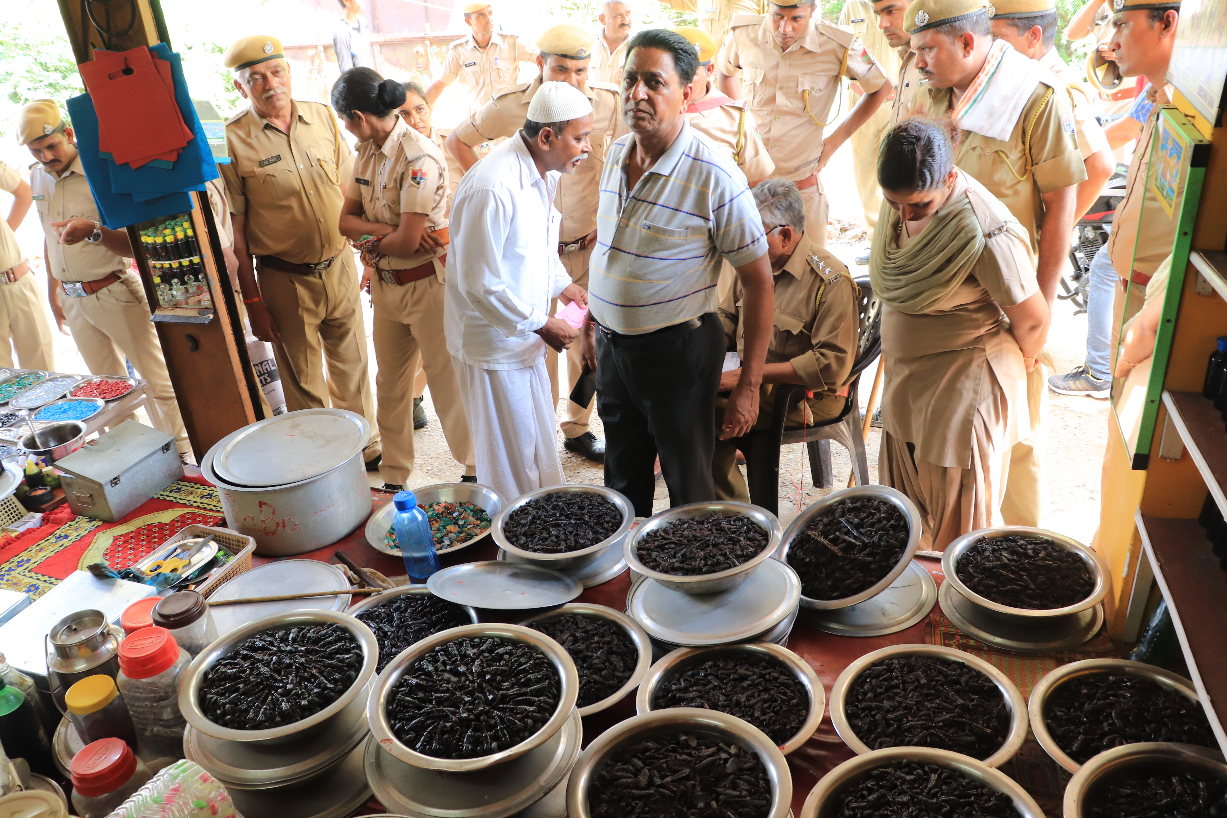 search operation search operation : दरगाह इलाके में हजारों मृत बिच्छू और दवाएं जब्त