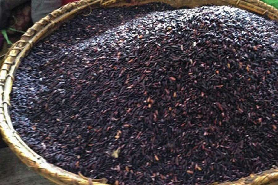 This rice is Black Gold of Manipur