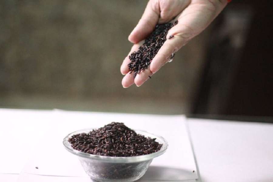 This rice is Black Gold of Manipur