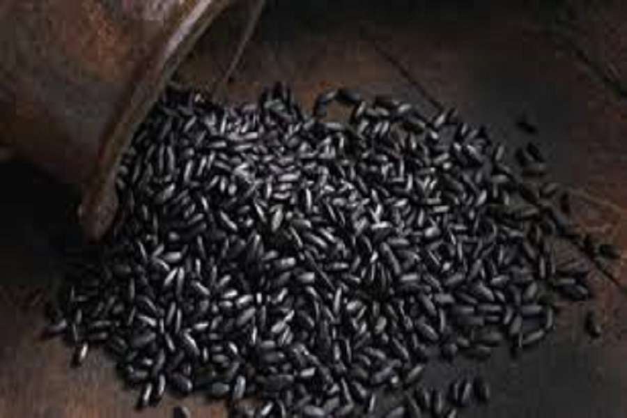 This rice is Black Gold of Manipur