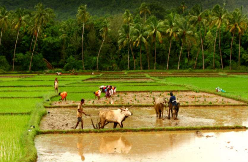 Farmer pensions scheme