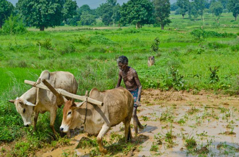Farmer pensions scheme