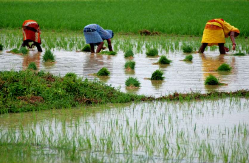 Farmer pensions scheme