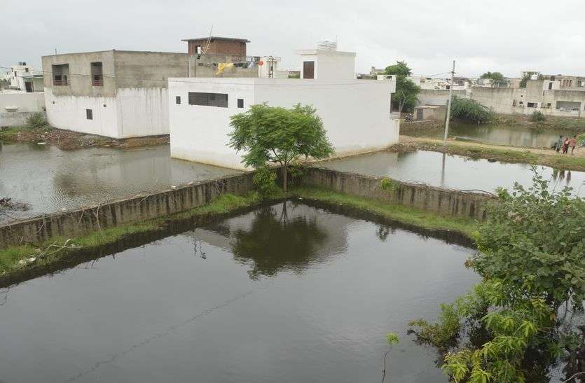 Water filled in plots कॉलोनियों के खाली में भूखण्डों भरा पानी, निकासी के नहीं कोई प्रबंध