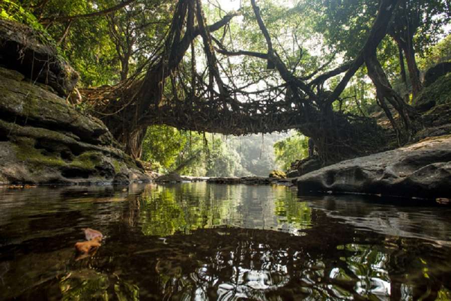 Beauty of North East India is Stunning