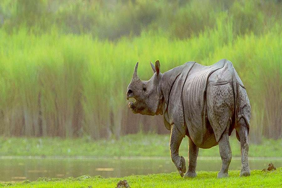 Beauty of North East India is Stunning