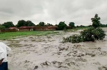 Singrauli collector recommended investigation एस्सार का ऐश डाईक टूटने से पर्यावरण को क्षति पर चिंता, उच्च स्तरीय जांच के लिए कलेक्टर ने शासन को लिखा पत्र