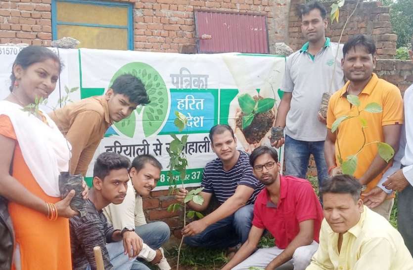 Plantation organize under Patrika Harit Pradesh Abhiyan in Singrauli प्रकृति का उतरो कर्ज, पौधरोपण कर पूरा करो फर्ज, पत्रिका हरित प्रदेश अभियान में मिली यह प्रेरणा