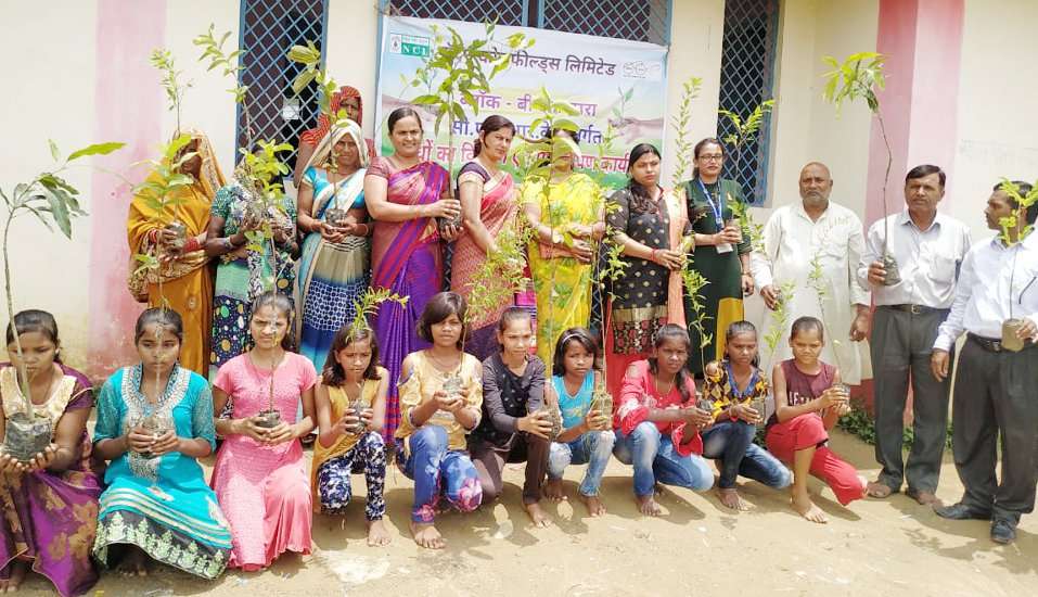 Plantation organize under Patrika Harit Pradesh Abhiyan in Singrauli