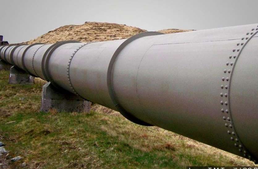 Oil theft खेत और पेड़ों को डीजल से नहाते देख हतप्रभ रहे गए किसान