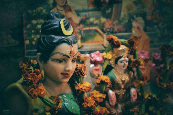 sawan 2019