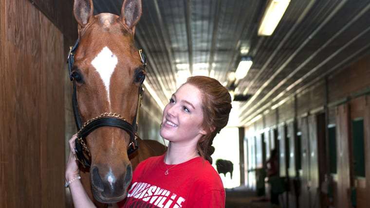 horse assisted therapy