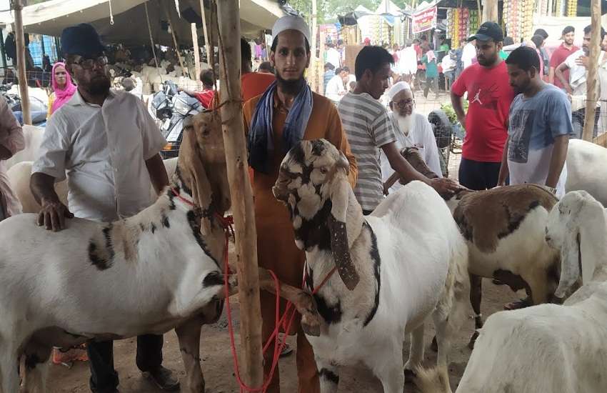 Bakra