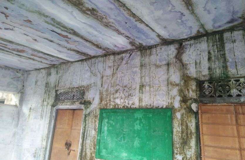 Dripping water from the roof अभिभावकों में भय: स्कूल भवन क्षतिग्रस्त,स्कूल जाने से डर रहे विद्याथी