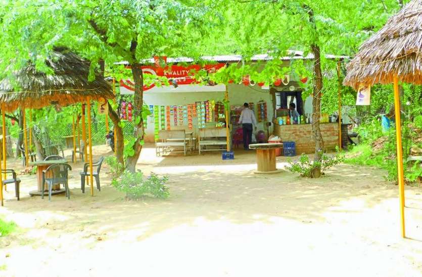 sariska news sariska में अवैध रेस्त्रां होते हैं ठिकाना, शाम होते ही जंगल में घुस जाते हैं समाजकंटक, शिकार का रहता है अंदेशा
