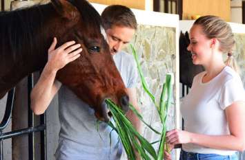 Horses will treat psychological patients under Equine Therapy डॉक्टर नहीं अब घोड़े करेंगे आपका इलाज, डिप्रेशन समेत इन 10 बीमारियों में होगा फायदा