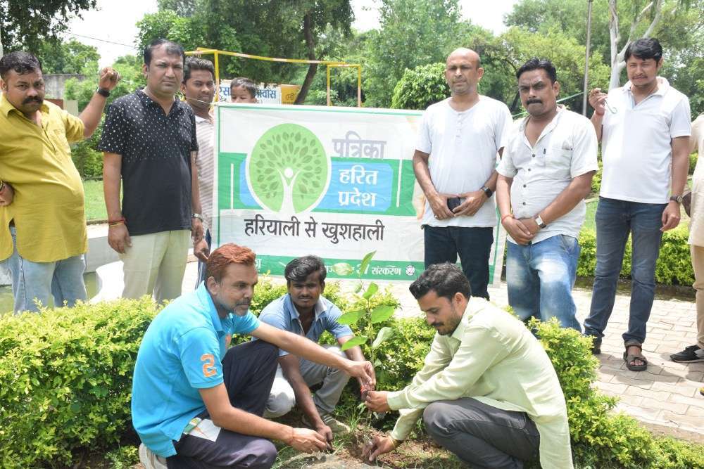 पत्रिका हरित प्रदेश; हरियाली के लिए सर्व समाज ने रोपे पौधे, देखें इन तस्वीरों में पत्रिका हरित प्रदेश; हरियाली के लिए सर्व समाज ने रोपे पौधे, देखें इन तस्वीरों में