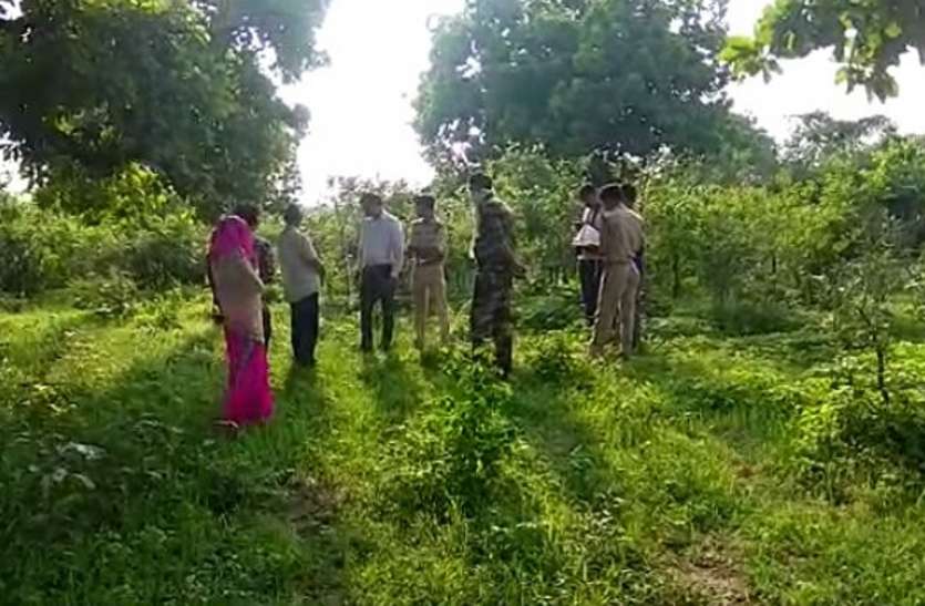 Skeleton of missing old man found in forest लापता वृद्ध का जंगल में मिला कंकाल